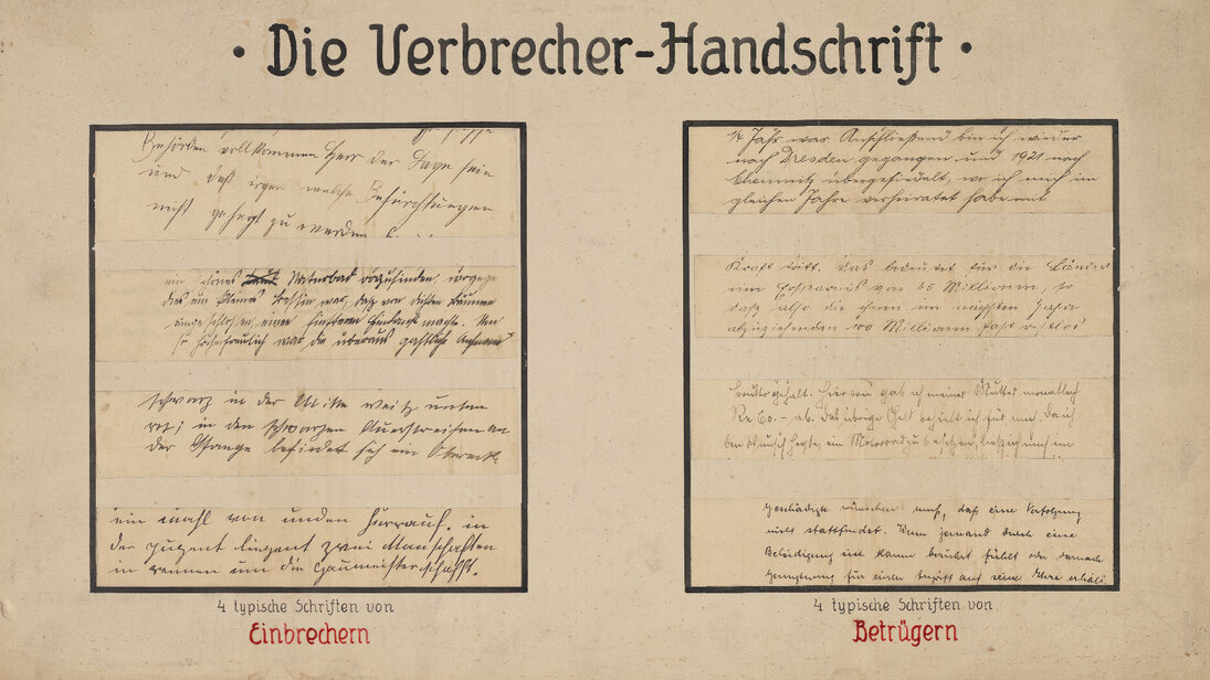 Die Abbildung eines historischen Dokuments zeigt unter der Überschrift »Die Verbrecher-Handschrift« insgesamt acht Schriftbilder. Diese sind beschriftet mit »4 typische Schriften« von »Einbrechern« und »Betrügern«.